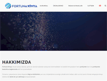 Tablet Screenshot of fortunakimya.com